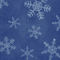 Winter スノー　ブルー